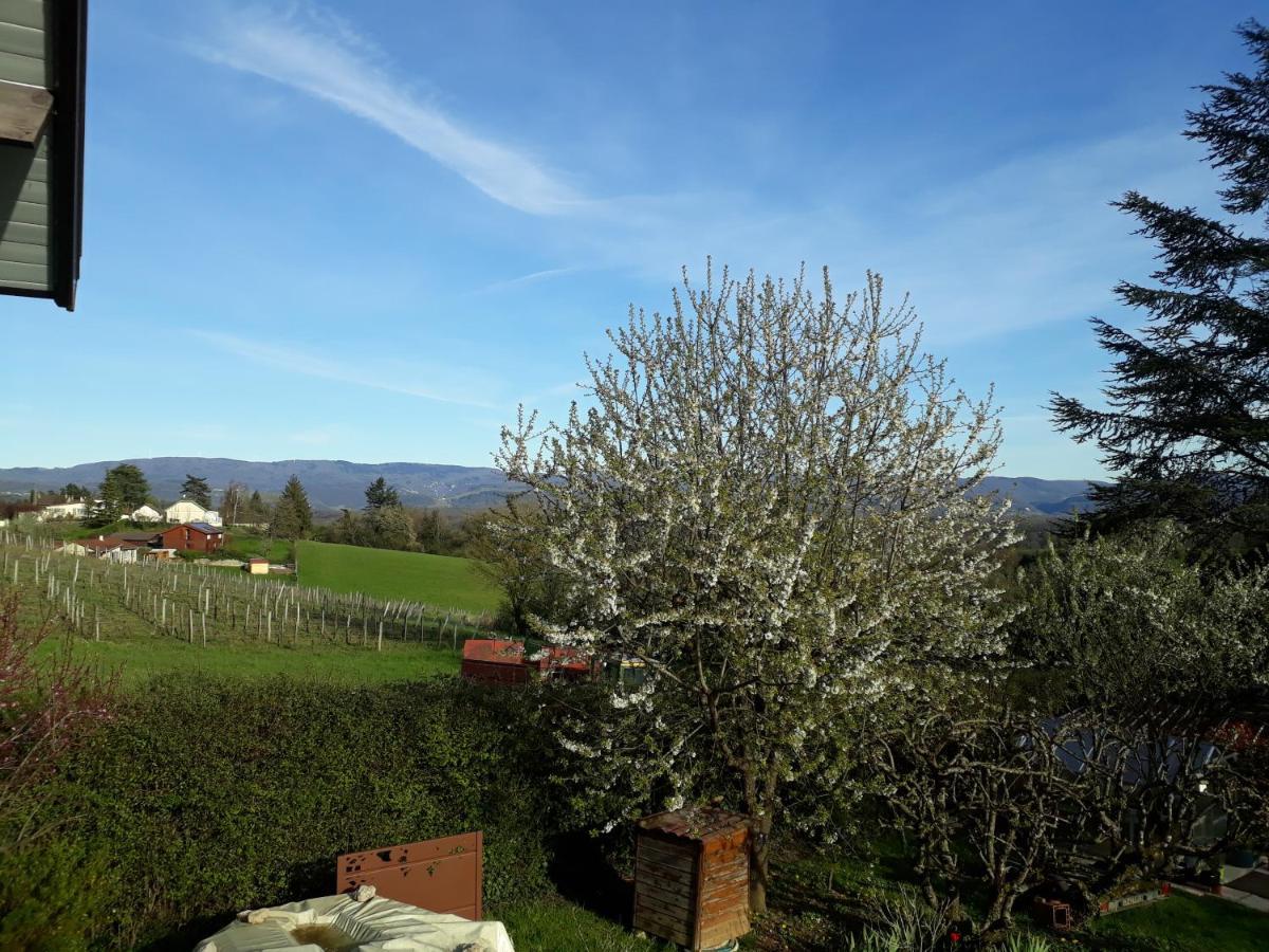 Chalet Norev Saint-Martin-du-Mont Luaran gambar