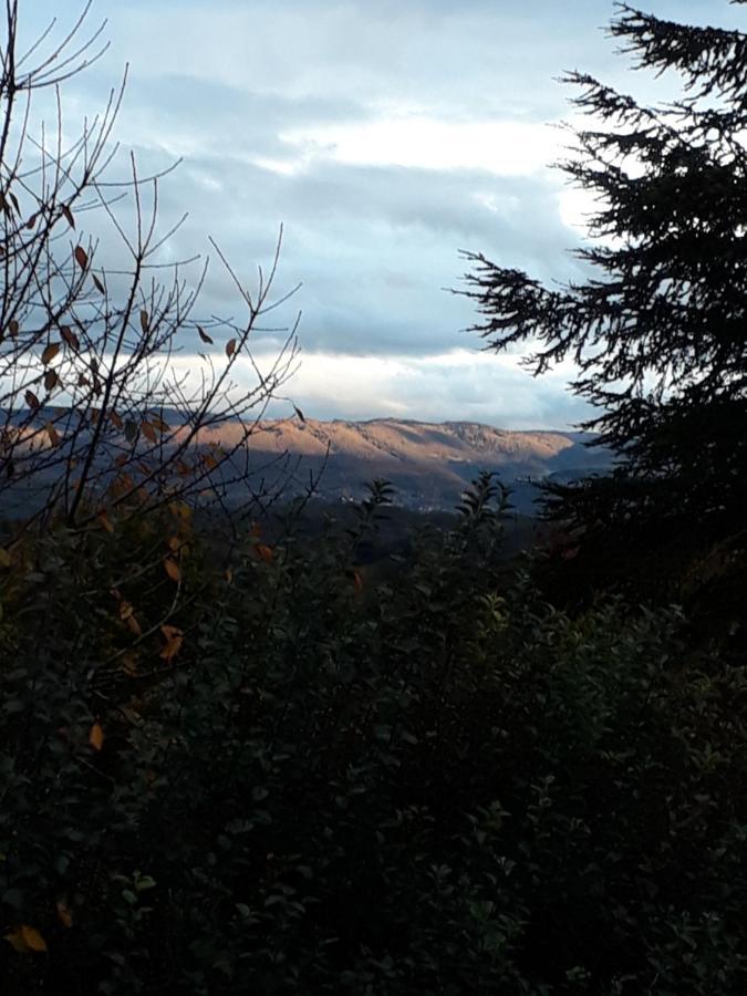Chalet Norev Saint-Martin-du-Mont Luaran gambar