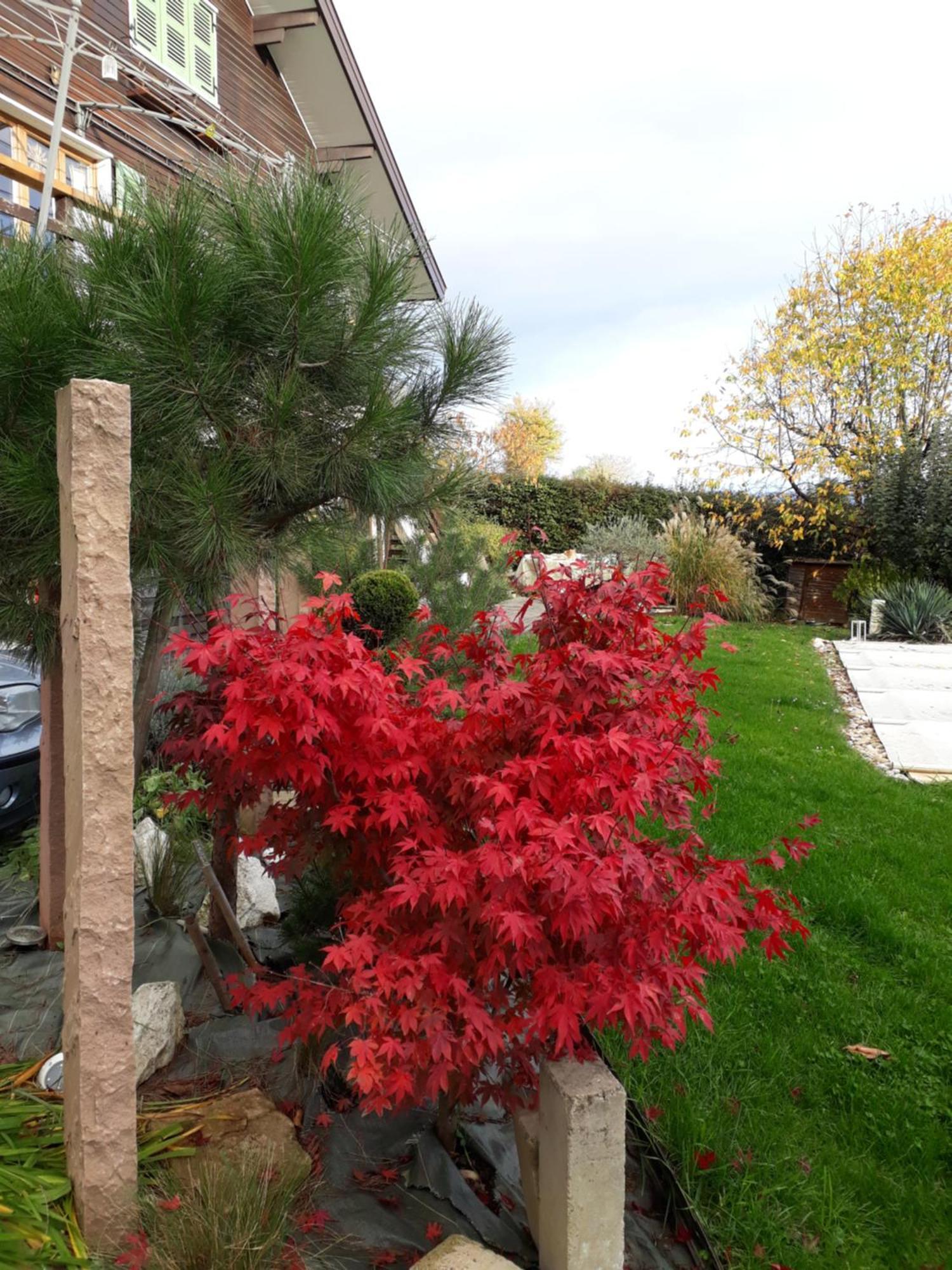 Chalet Norev Saint-Martin-du-Mont Luaran gambar